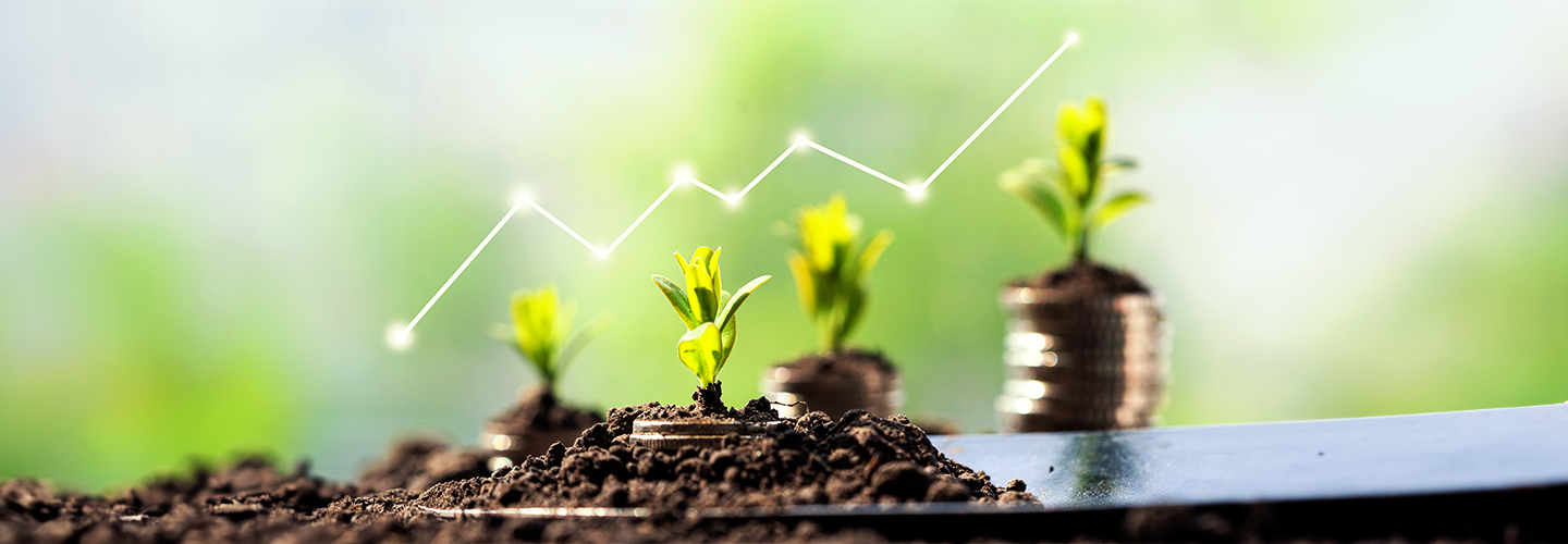 Plants, Productivity, and Profits: Choosing the Best Farm Accounting Software