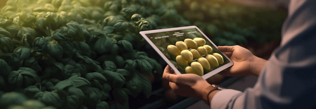 Precision Agriculture in the USA: Advancements and Adoption Across States