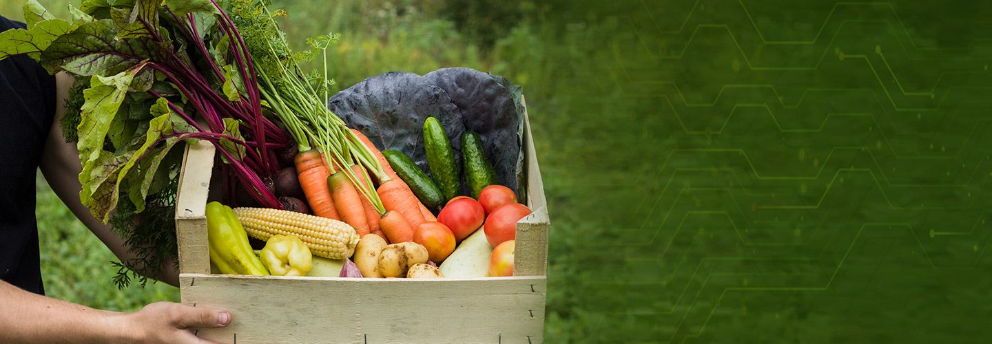 FarmERP enables a fresh produce start-up to minimise wastage and manage the entire business on a single digital platform