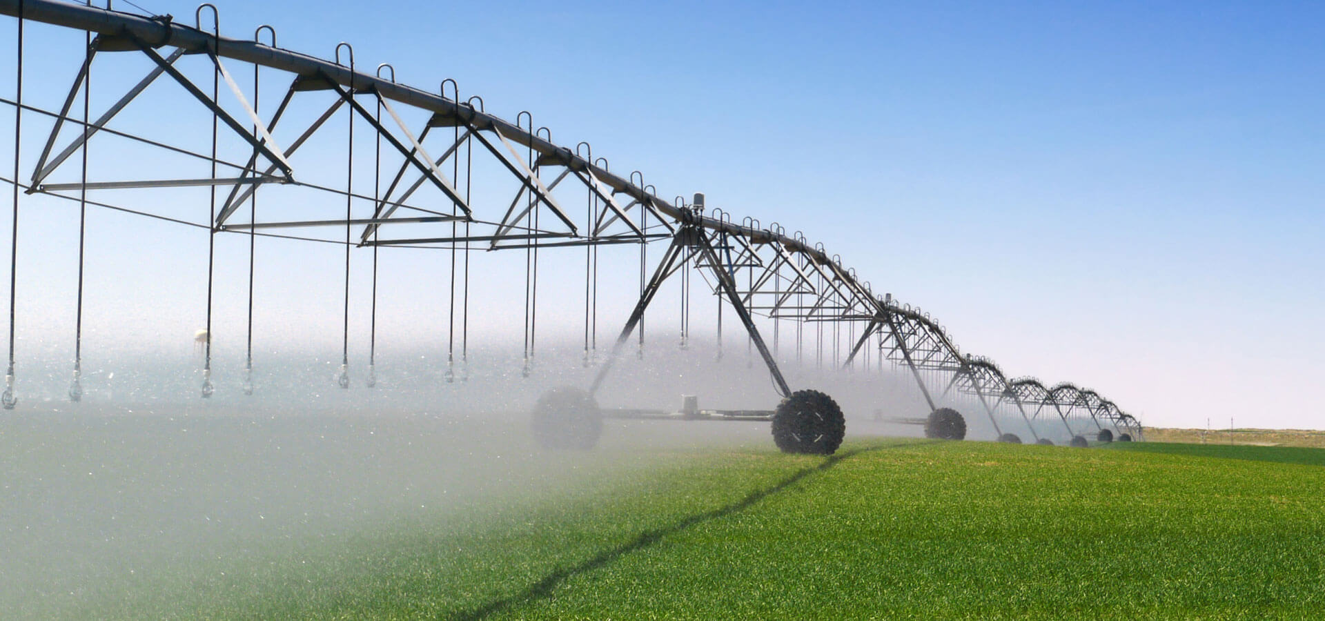 How 10000 Ha multi-cropping corporate farm from Azerbaijan improved bottom line using FarmERP ?
