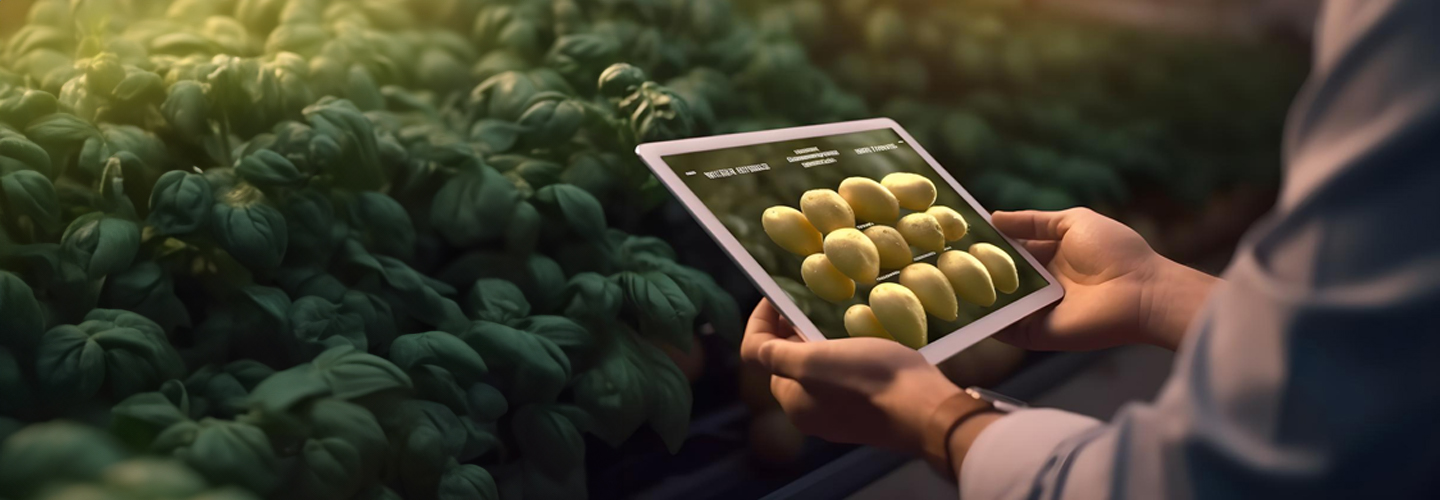 Precision Agriculture in the USA: Advancements and Adoption Across States