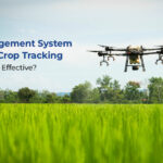 Crop Management System vs Manual Crop Tracking