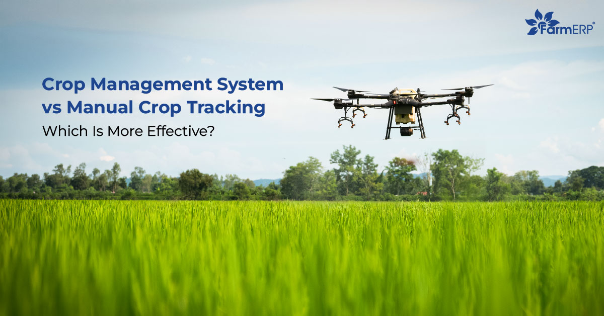 Crop Management System vs Manual Crop Tracking: Which Is More Effective?