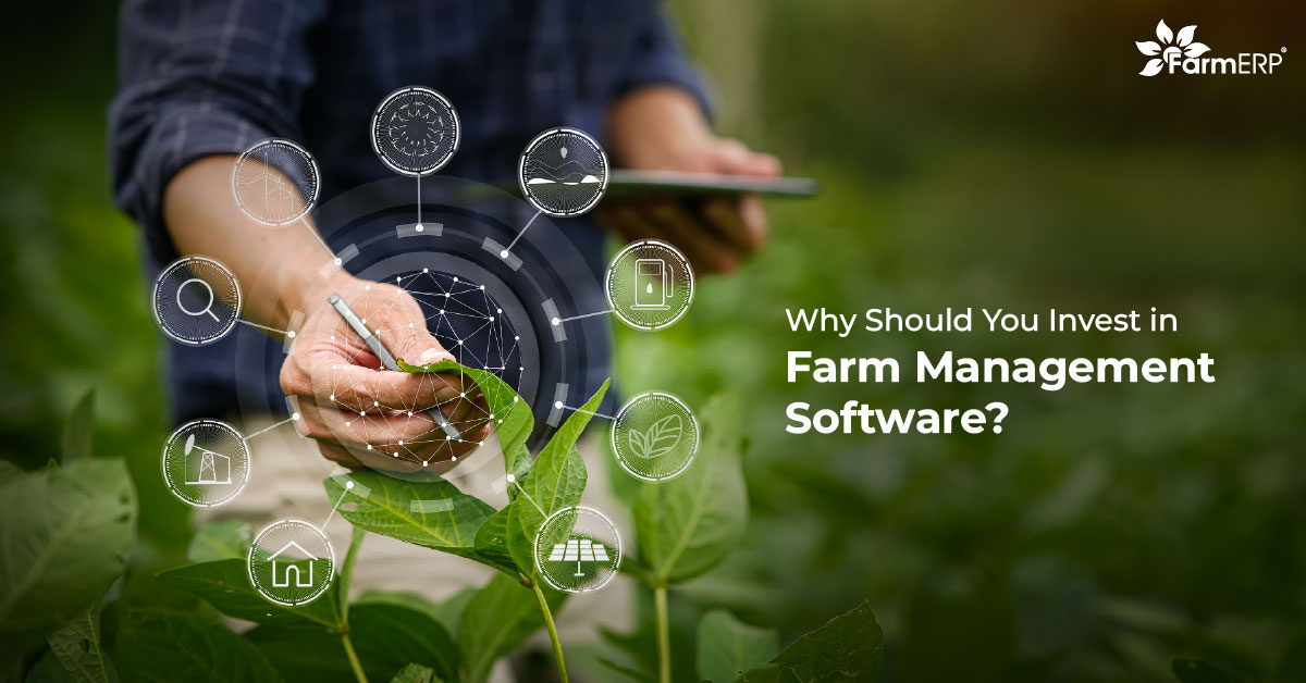 Why Should You Invest In Farm Management Software?
